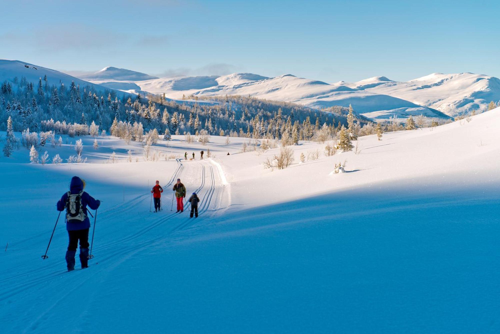 Spidsbergseter Resort Rondane Venabygd ภายนอก รูปภาพ