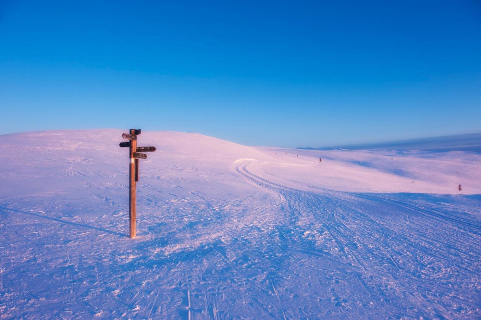 Spidsbergseter Resort Rondane Venabygd ภายนอก รูปภาพ