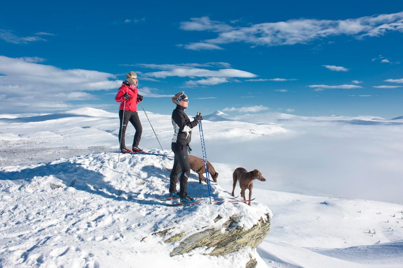 Spidsbergseter Resort Rondane Venabygd ภายนอก รูปภาพ