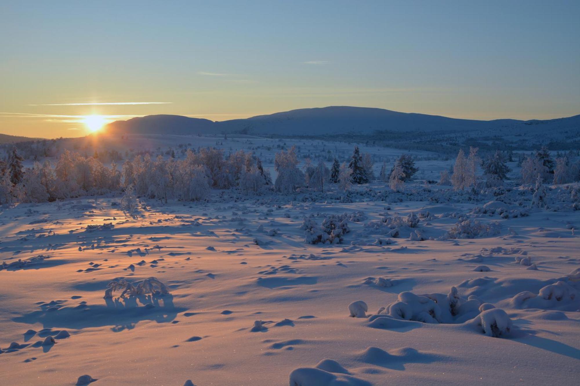 Spidsbergseter Resort Rondane Venabygd ภายนอก รูปภาพ