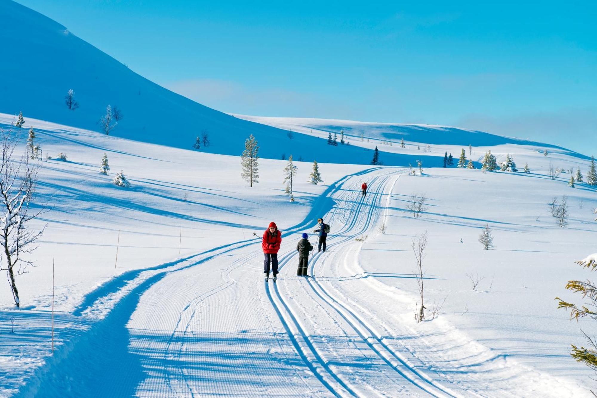 Spidsbergseter Resort Rondane Venabygd ภายนอก รูปภาพ