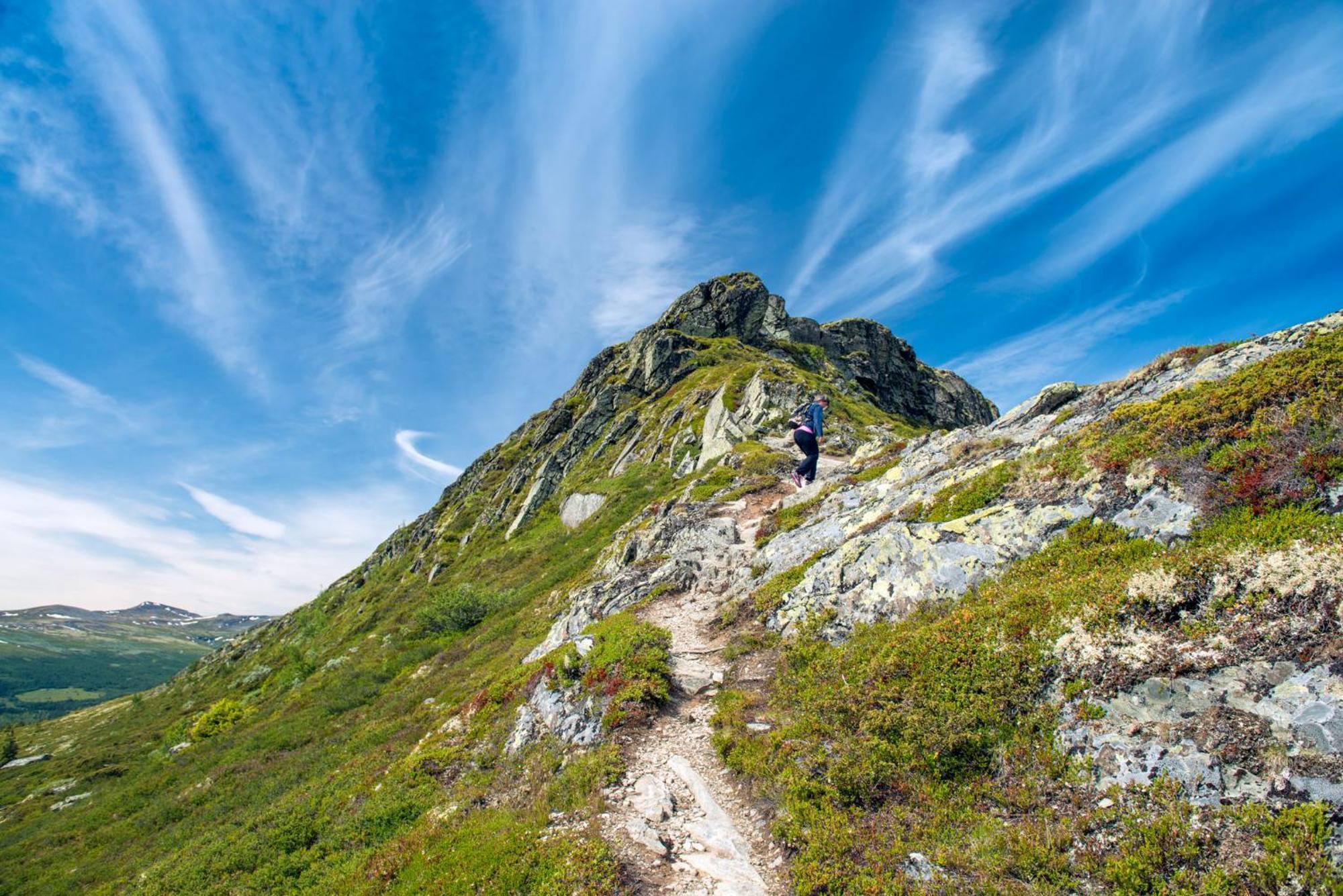 Spidsbergseter Resort Rondane Venabygd ภายนอก รูปภาพ