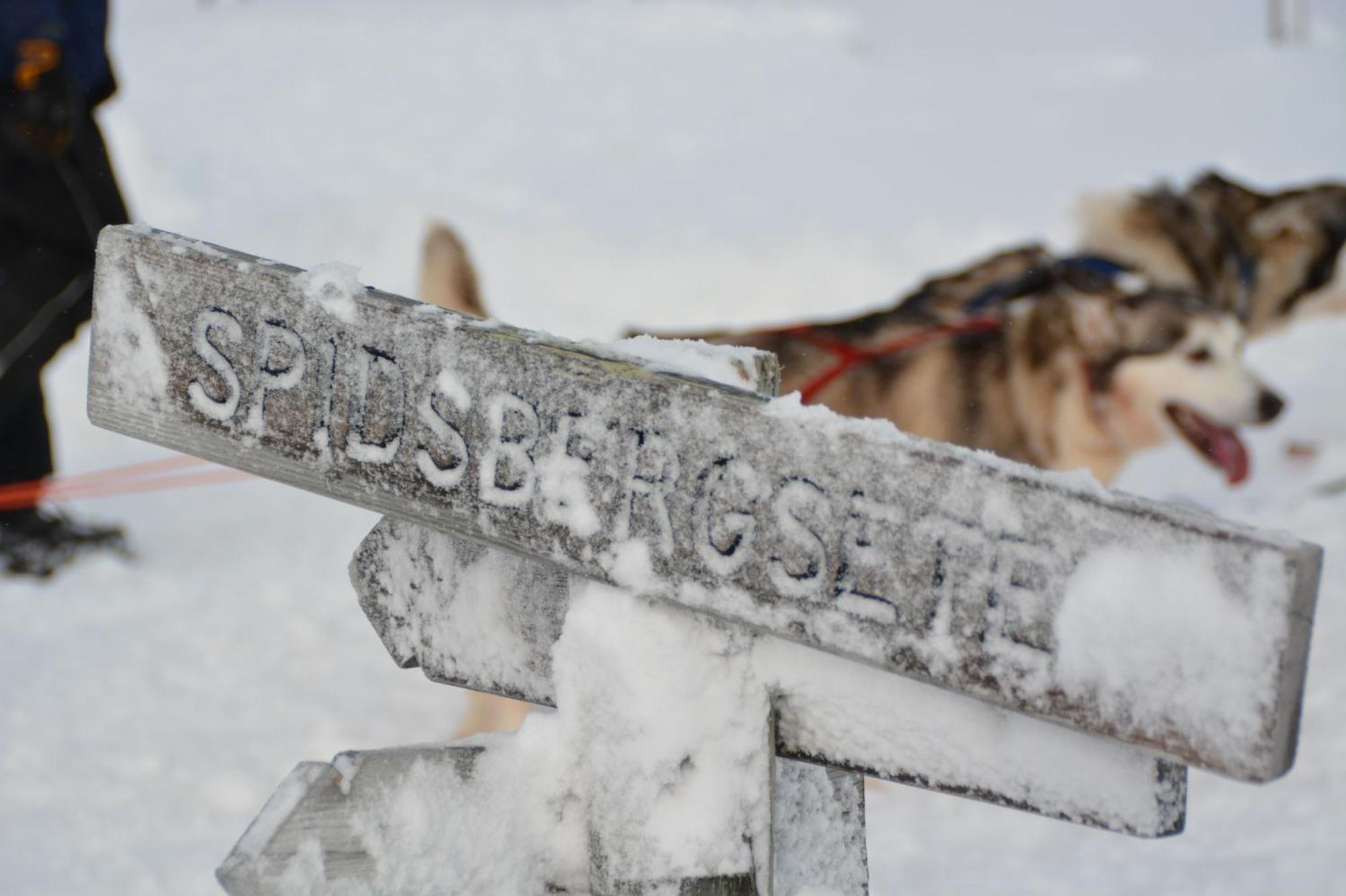 Spidsbergseter Resort Rondane Venabygd ภายนอก รูปภาพ