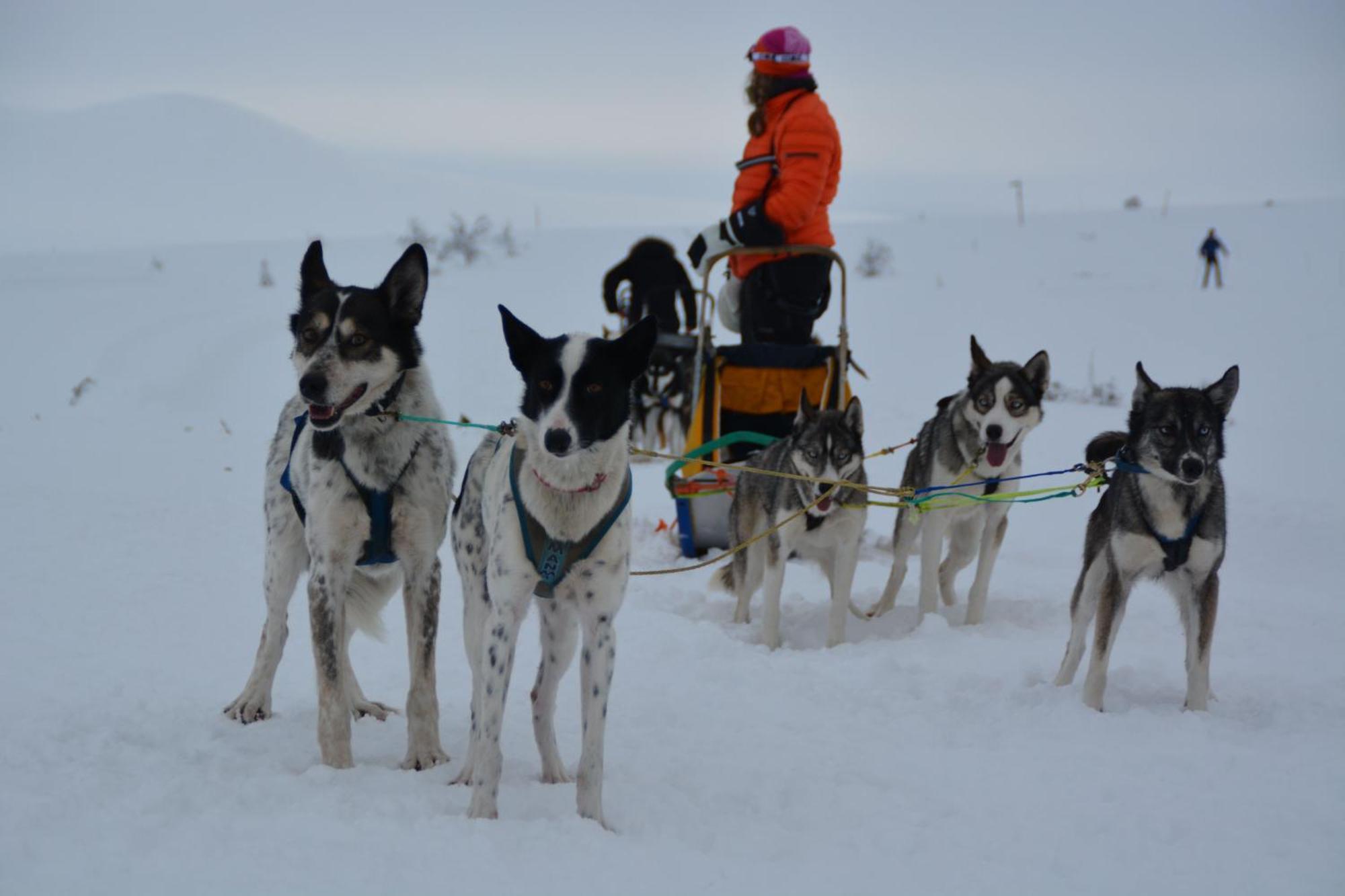 Spidsbergseter Resort Rondane Venabygd ภายนอก รูปภาพ